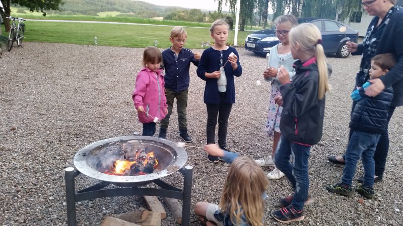 Sommerfest 2017 - børn rister skumfiduser